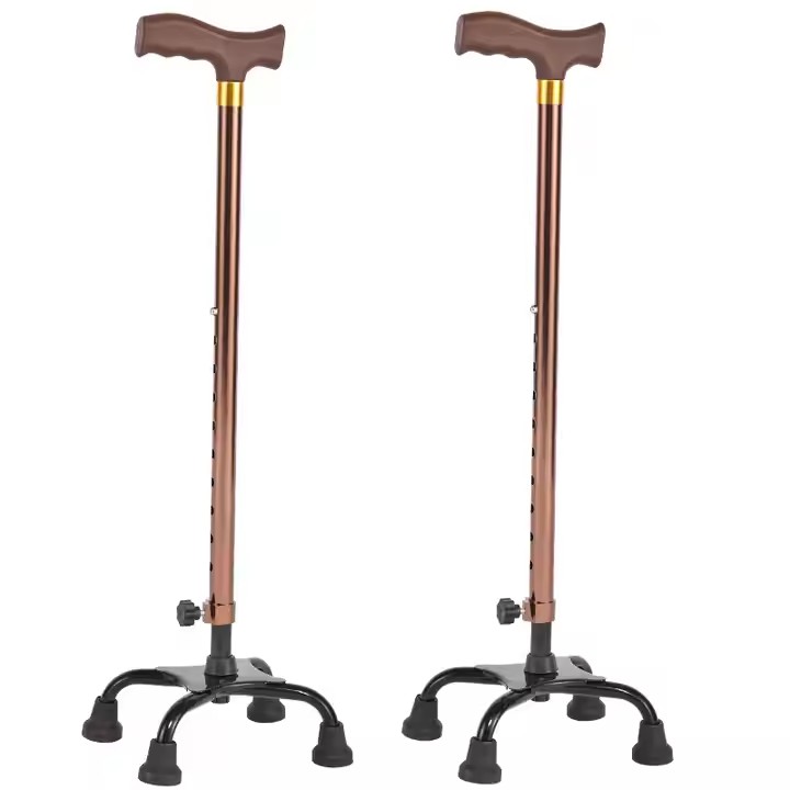 Walking stick