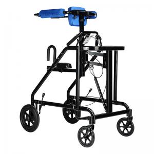 Medical Equipment Mobility Walking Aid Standing Disabled Elderly Learning